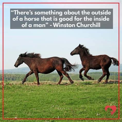 Great Horse Quotes: Inspirational and Funny Sayings about Horses.